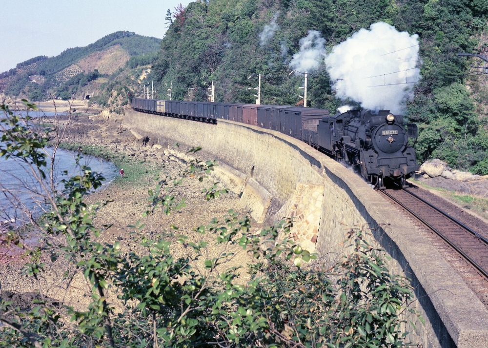 6965列車 D51272 鹿児島本線上田浦 1970.3.25