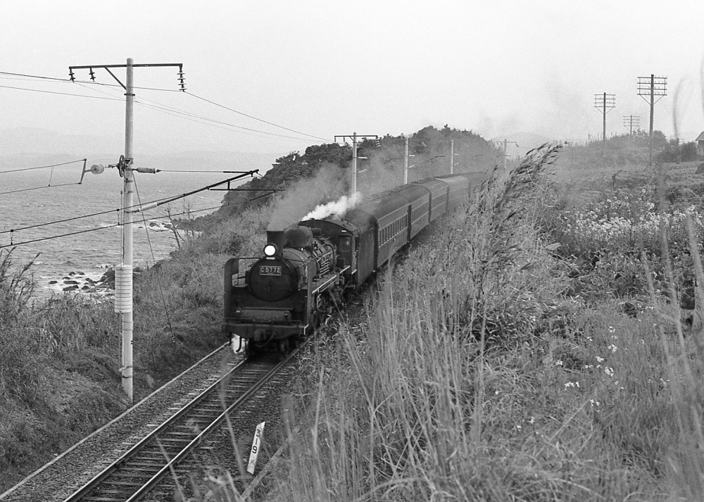 『天草灘沿いを行く南国のライトパシフィック』 227列車 C5772 鹿児島本線阿久根 1970.3.25