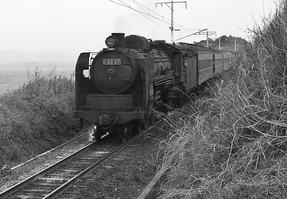 『天草灘を右手に』 急行8205しろやま52号 C6037 鹿児島本線阿久根 1970.3.25