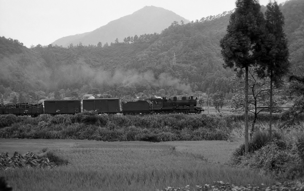 『百名山荒島岳に見守られて』 8154列車 88623 越美北線牛ケ原 1971.8.6