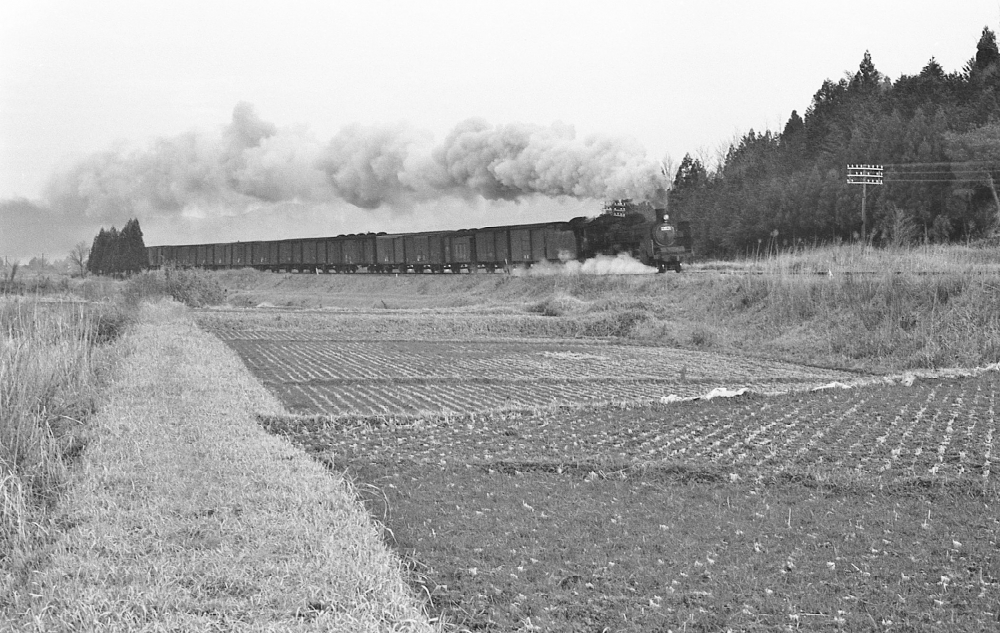 『えびのの野辺を行く その１』 貨8692列車 C5510 吉都線飯野 1970.3.26