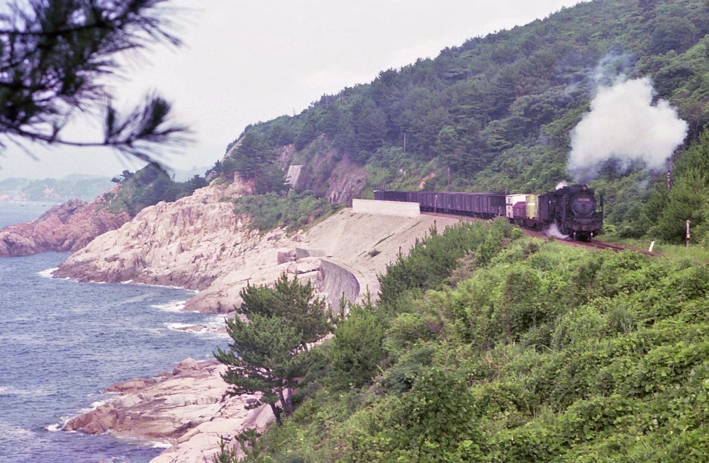 『石見海岸沿いを行く』 1891列車 D51 山陰本線岡見 1974.7.25