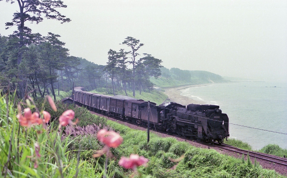 『山陰海岸の夏』 876列車 D51581 山陰本線石見津田 1974.7.26