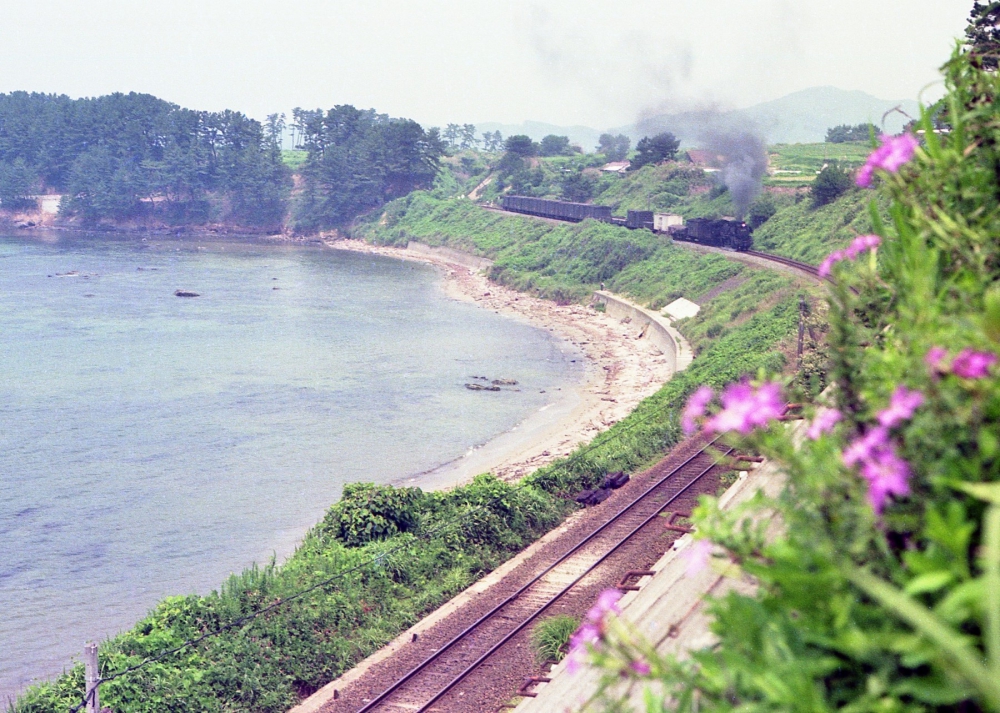 『エメラルドグリーンの海に沿って』 571列車 D51473 山陰本線石見津田 1974.7.26