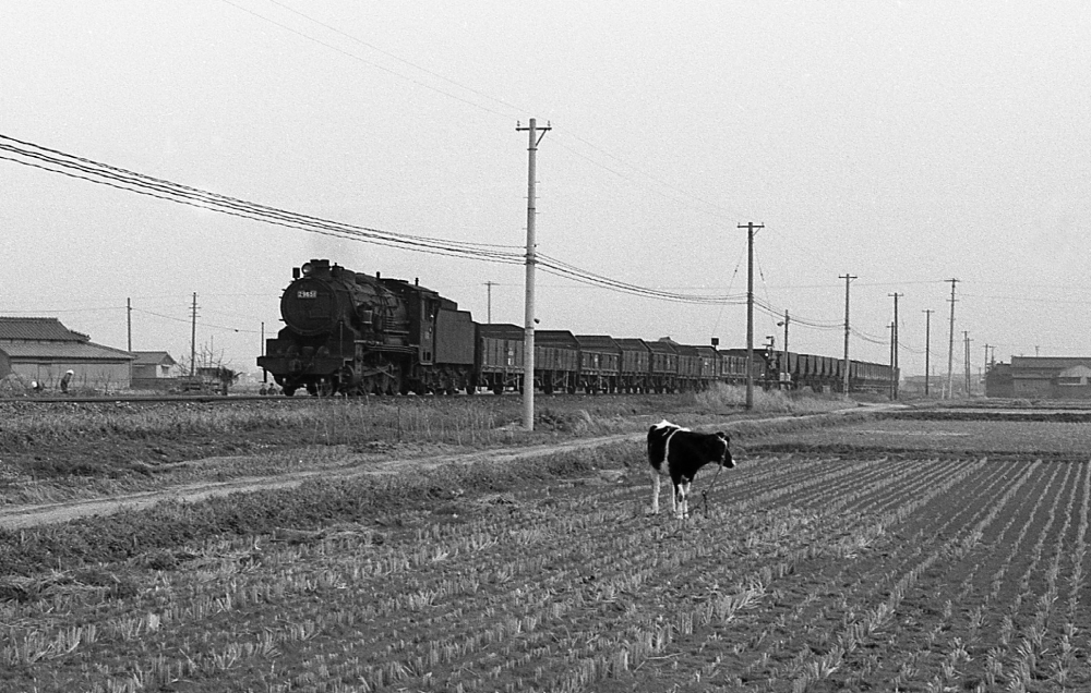 『春の筑豊水田風景』 694列車 29651 筑豊本線筑前植木 1970.3.27