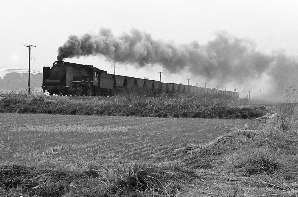 8673列車 D6071 筑豊本線筑前植木 1970.3.27