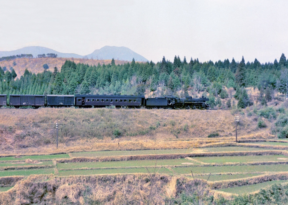 『霧島山麓を行く混合列車』 混625列車 C5533 吉都線高原 1970.3.26