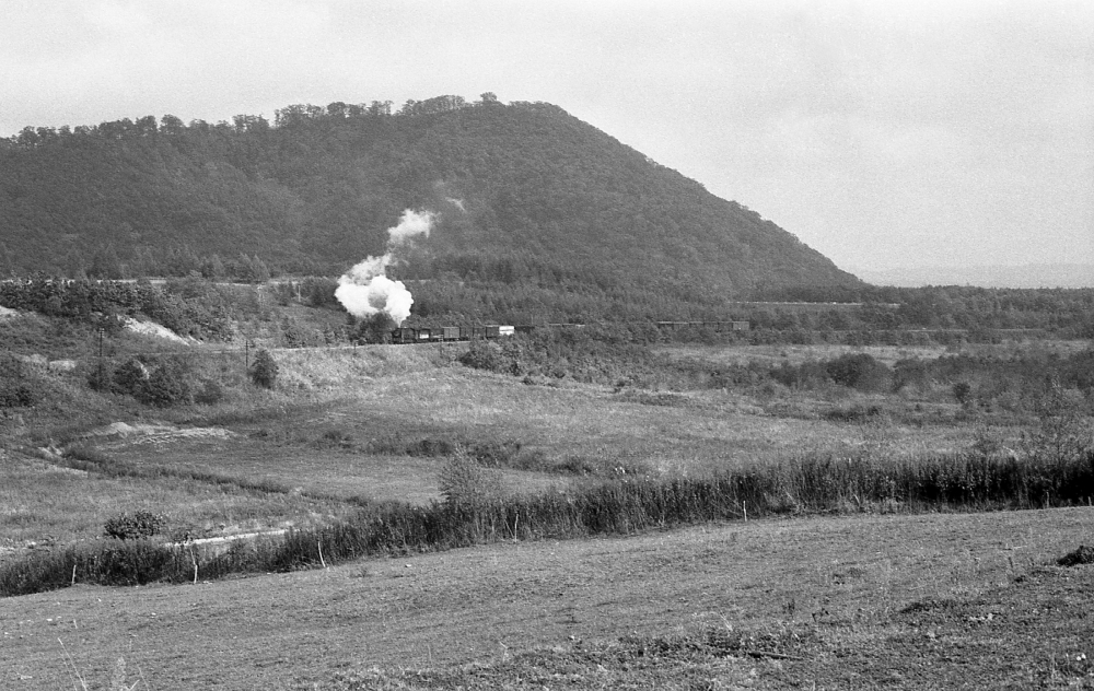 『北の大地を行く』 1892列車 19671 広尾線虫類 1973.10.11