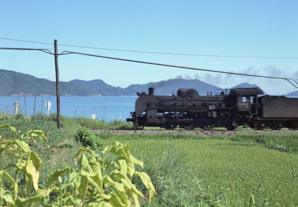 『若狭の夏 その２』 972列車 C58294 小浜線加斗 1970.8.5