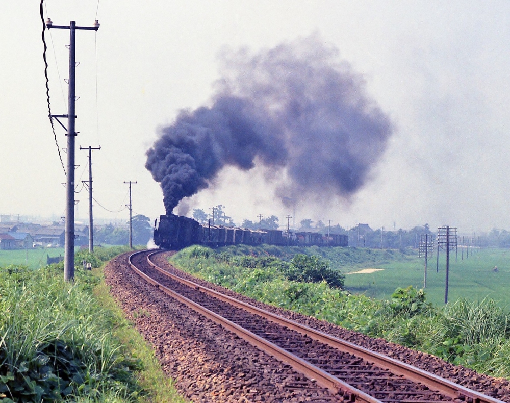 『関西本線のデコイチ重連』 252列車 D51369+D51522 富田 1970.7.26