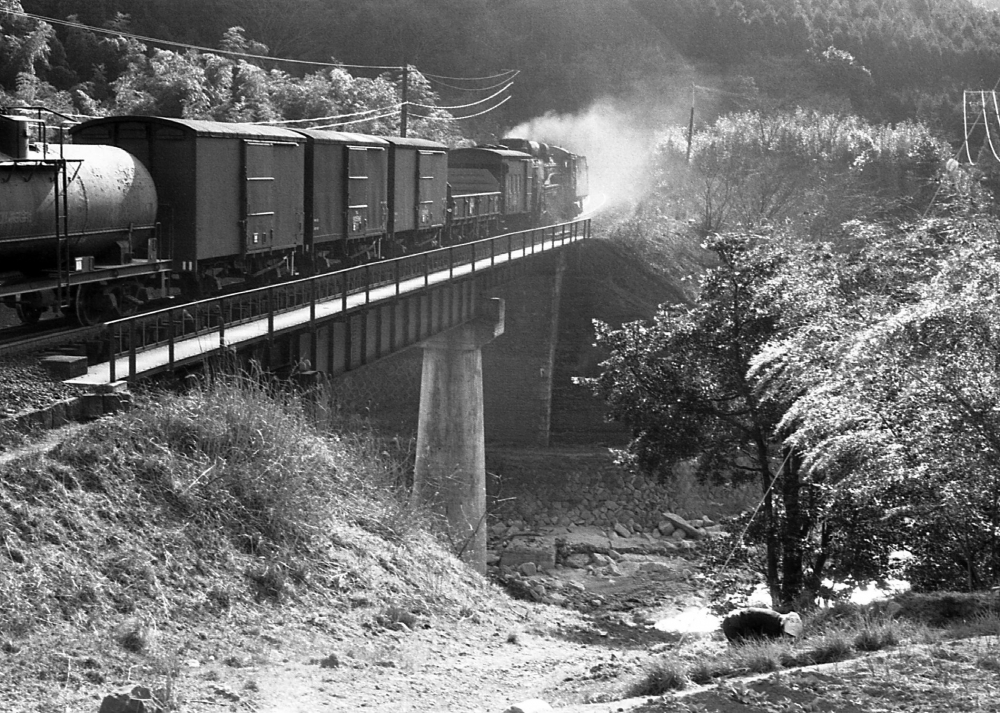 『加太越えの関守り その2』 1794列車 D51 加太 1973.3.26