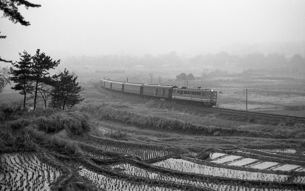 『棚田のある鉄道風景』 135列車 DF5062 紀勢本線下庄 1971.3.31