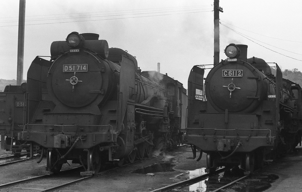 『居並ぶ兄弟罐』 D51714,C6112 鹿児島機関区 1970.3.26