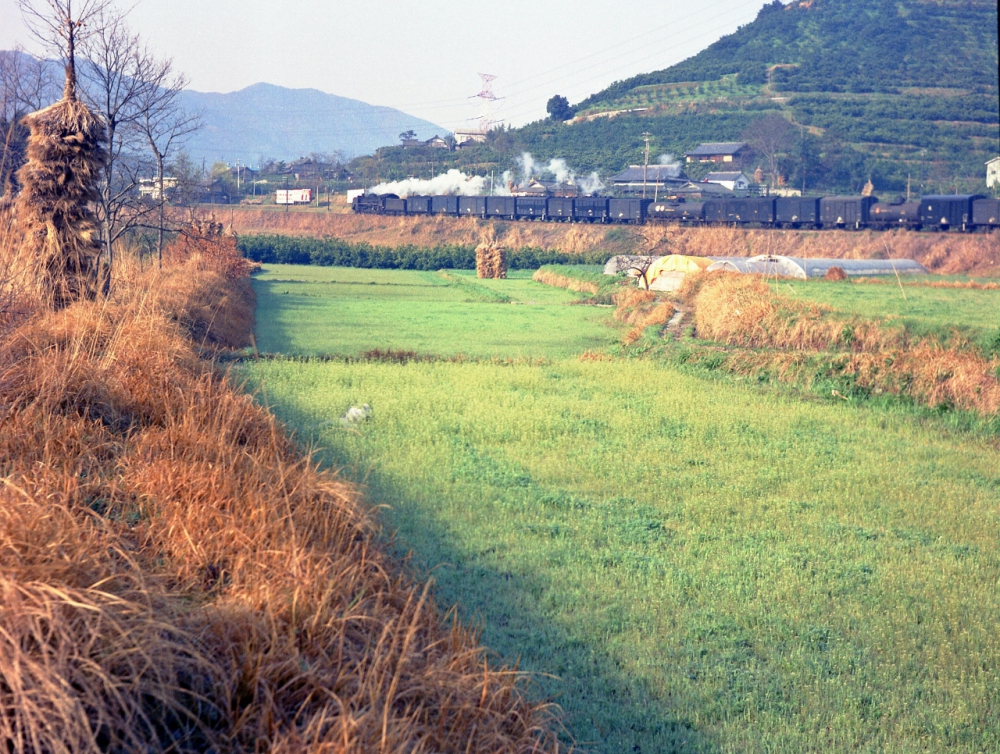 591列車 C5880 和歌山線笠田 1971.4.2