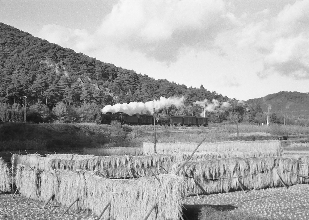 『稲架がけのある鉄道風景』 C5869 高山本線坂祝 1968.11.17