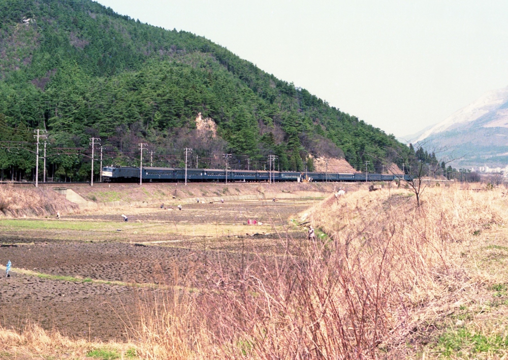 『高千穂・桜島を牽いて伊吹山麓を行く』 急行1102列車 EF58163 東海道本線柏原 1974.4.6