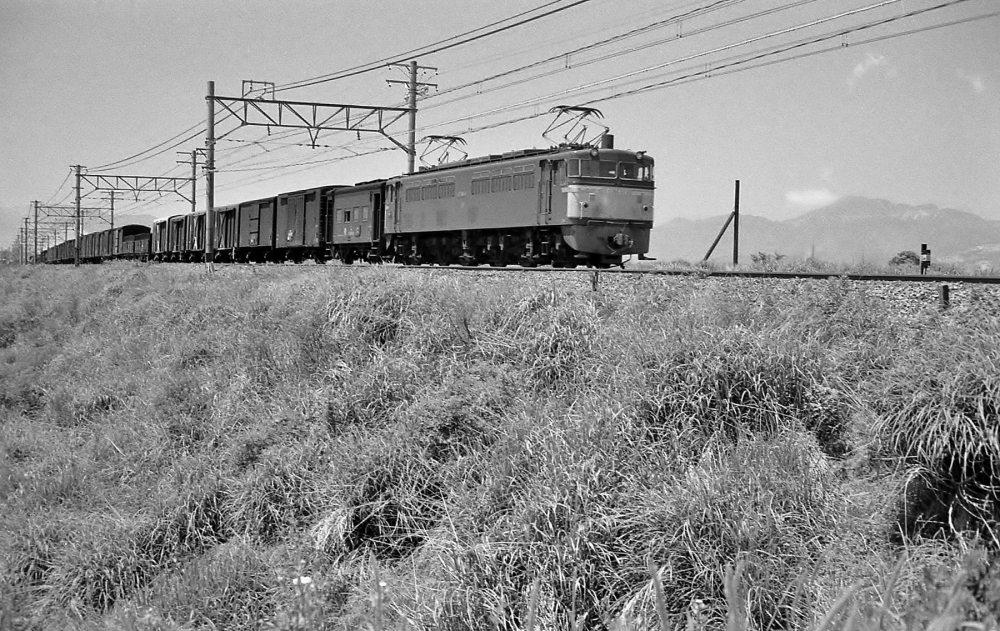 『五月晴れの揖斐川堤』 EF6551 大垣 1969.6.1