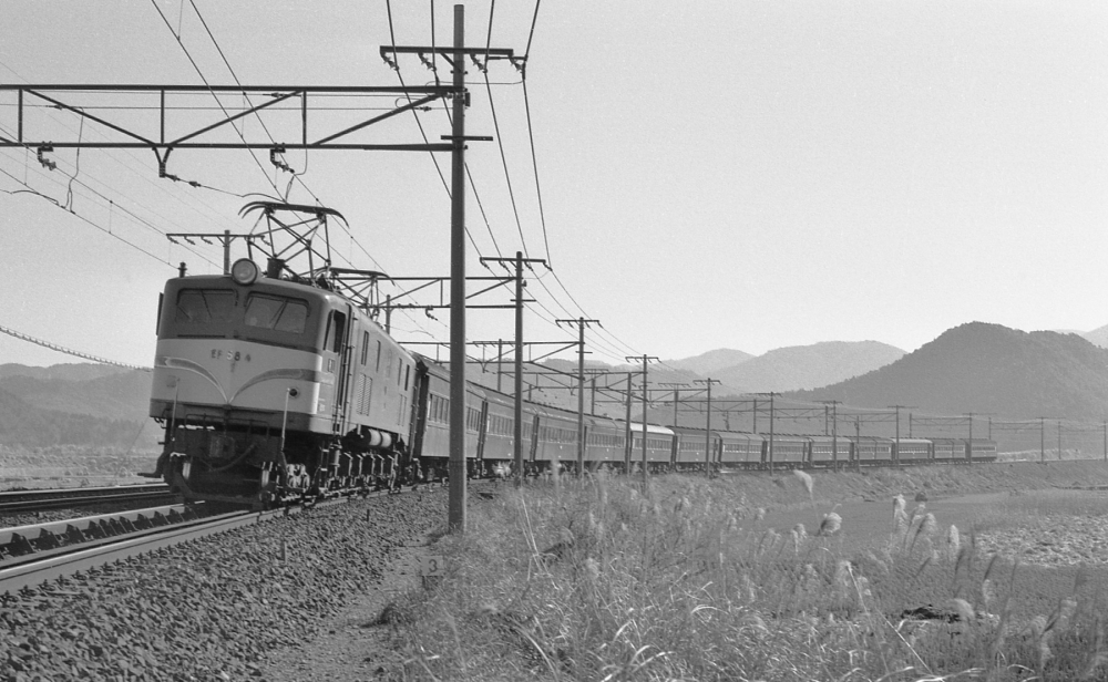 『急行みやざきを牽いて湖東を駆ける』 急行9603列車 EF584 東海道本線近江長岡 1971.12.29