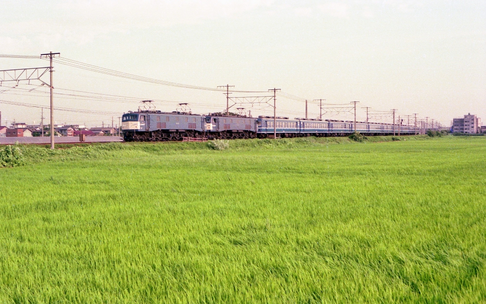 『ゴハチ重連急行ちくま』 急行7802列車ちくま１号 EF58125+EF58172 東海道本線木曽川 1976.8.11