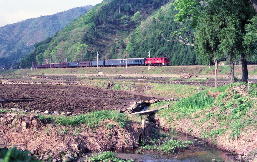 『越路の春』 235列車 ED708 北陸本線今庄 1971.5.3