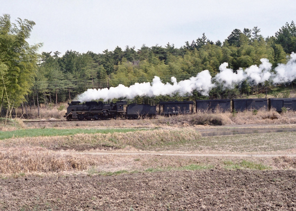 『竹林を行く』 1892列車 D51 紀勢本線徳和1972.3.22