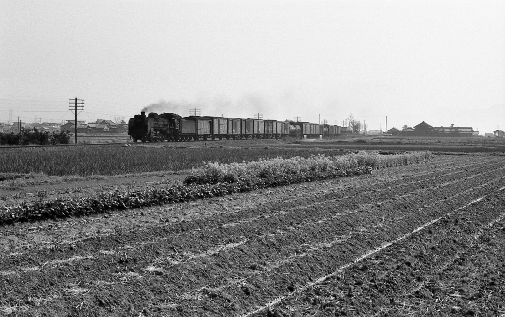 『和歌山平野の春』 591列車 C5880 和歌山線下井阪 1971.4.2