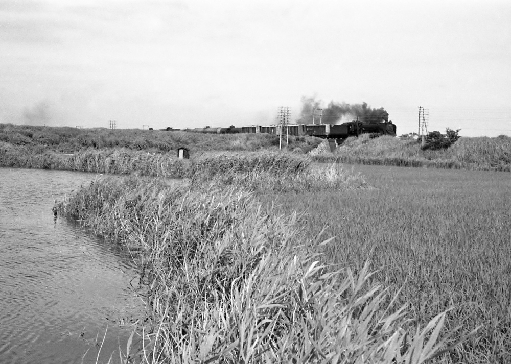 『尾張の水郷を行く』 永和 D51701 1969.7.6