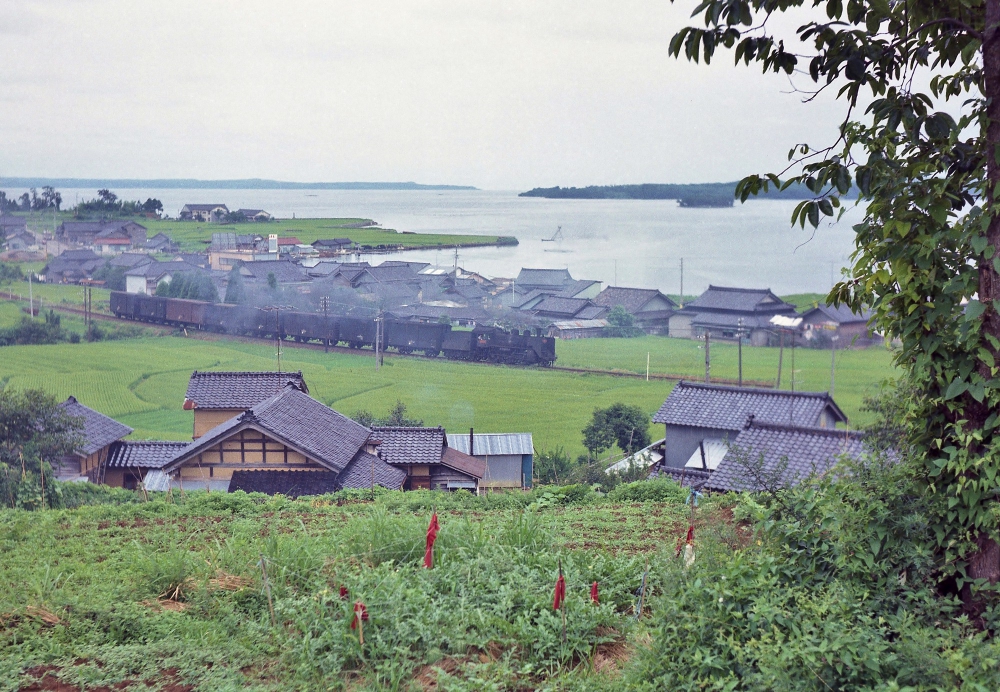 『七尾湾に沿って』 166列車 C56154 七尾線西岸 1970.8.3