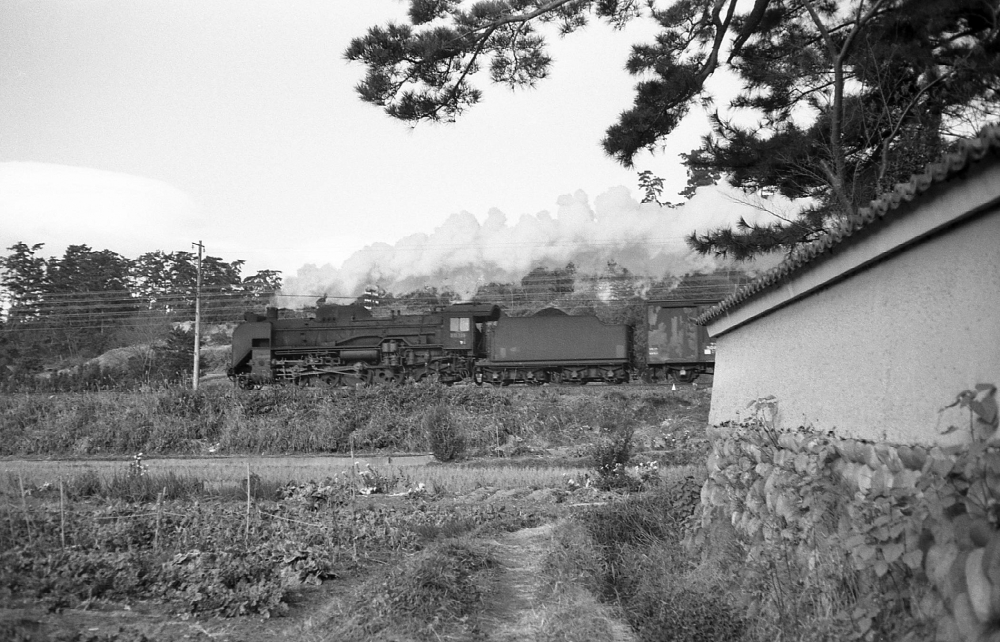 『粋な白塀見越しの松に・・・』 263列車 D51739 朝明(信) 1969.12.14