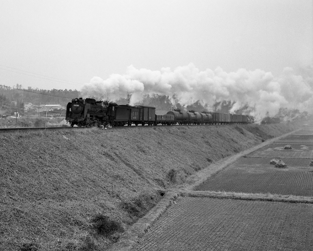 『朝明川築堤を駆け上る』 293列車 D51698 朝明(信) 1969.2.4