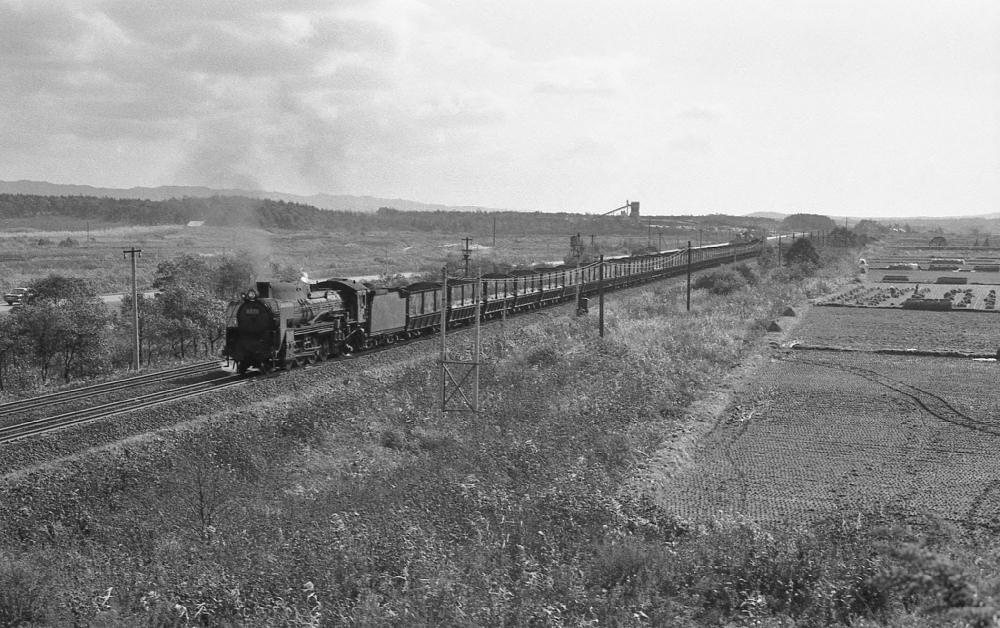 『北の大地を行く運炭列車』 278列車 D51 室蘭本線安平 1973.10.17