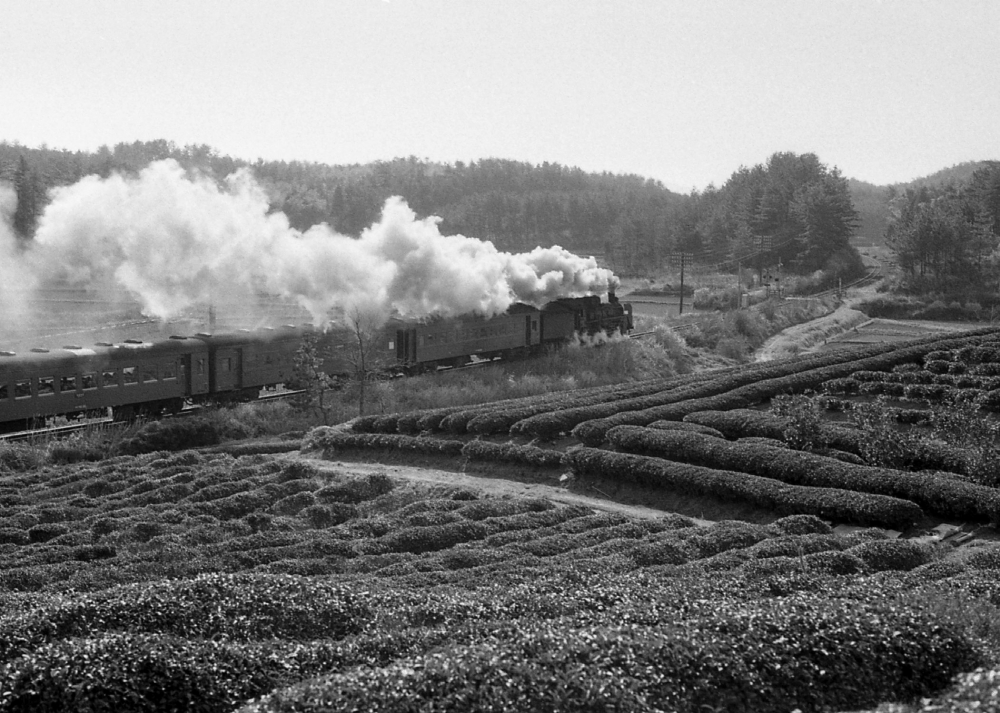 『伊勢の茶畑を行く その２』 821列車 C57198 紀勢本線徳和 1973.3.27