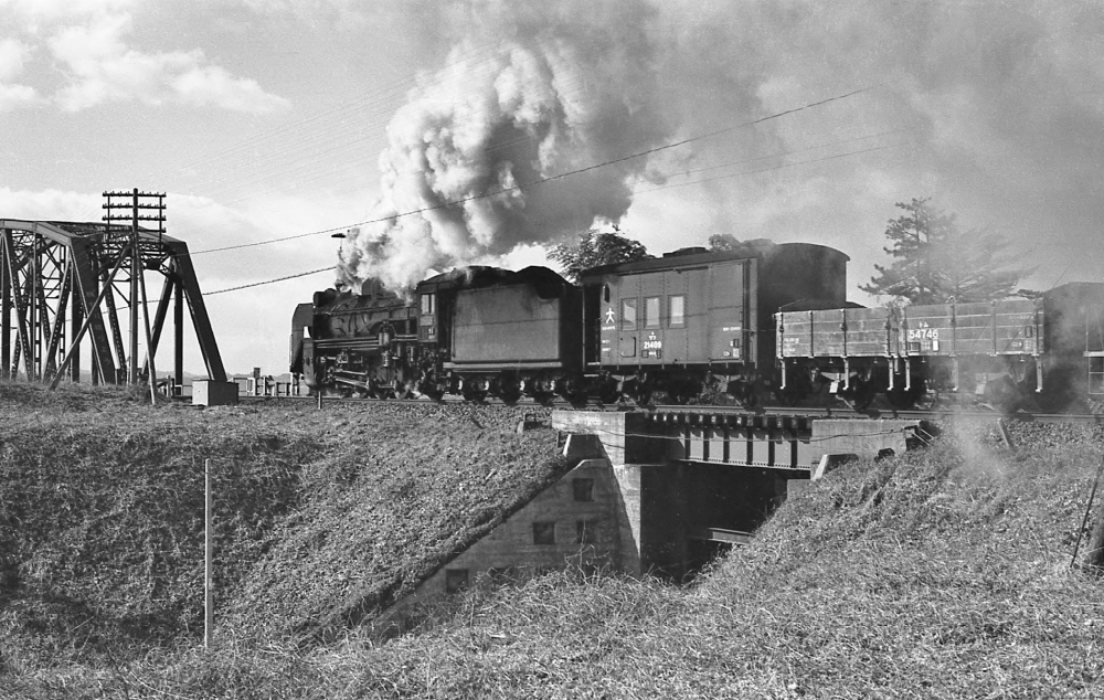 『長良川橋梁へ駆け上る』 293列車 D51 長島-桑名 1971.1.6