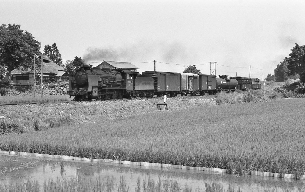 『羽前椿の里にて』 163列車 79606 1971.8.9