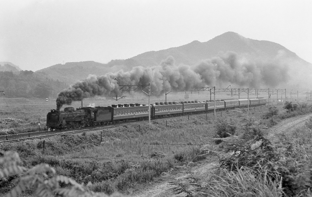 急行8501列車あおもり2号 D51688 奥羽本線白沢 1971.8.12