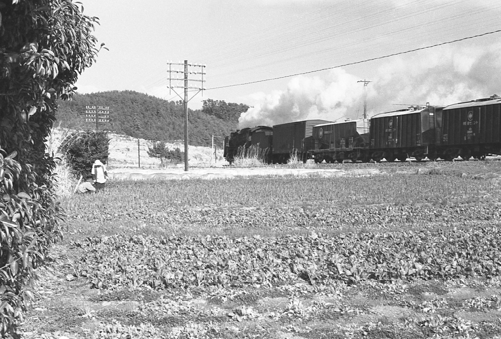 『野良の語らい』 288列車 D51468 河原田 1970.3.19