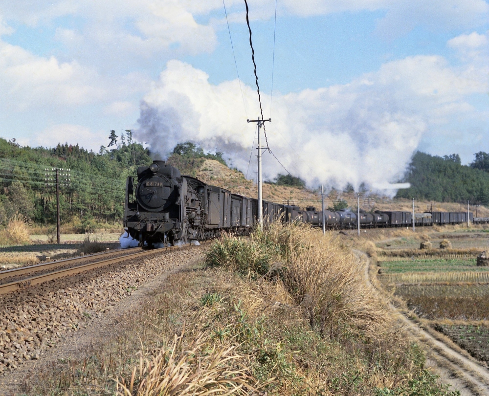 『鈴鹿の野辺を行く』 263列車 D51739 鈴鹿 1969.11.23