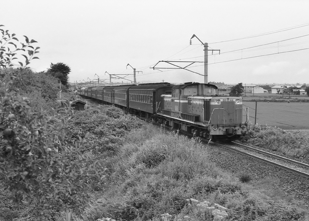 『りんごの里を行く』 急行502列車きたぐに DD5144 奥羽本線石川 1971.8.12