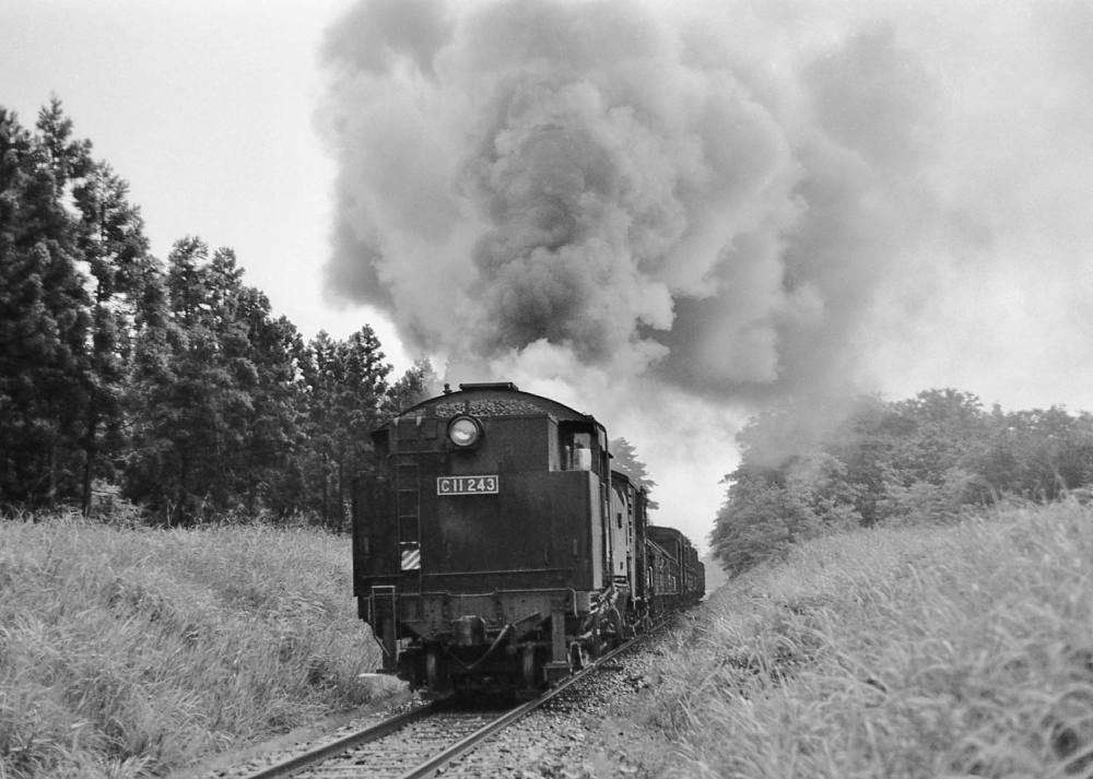 『小ヶ田の森を行く』 7261列車 C11243 阿仁合線小ヶ田 1971.8.13