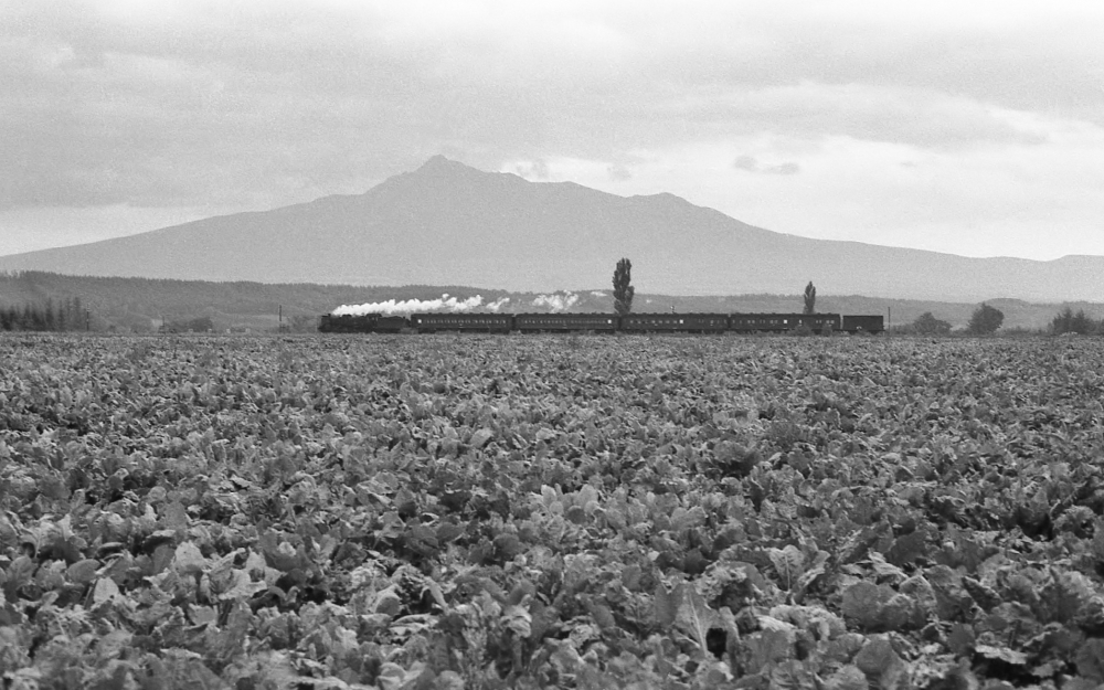 『斜里岳の麓を汽車が行く』 混634列車 C58 釧網本線清里 1973.10.7