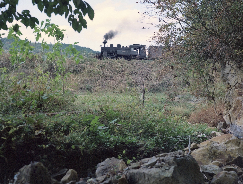 『東濃のメルヘンタンク』 463列車 C12209 明智線阿木 1969.11.2