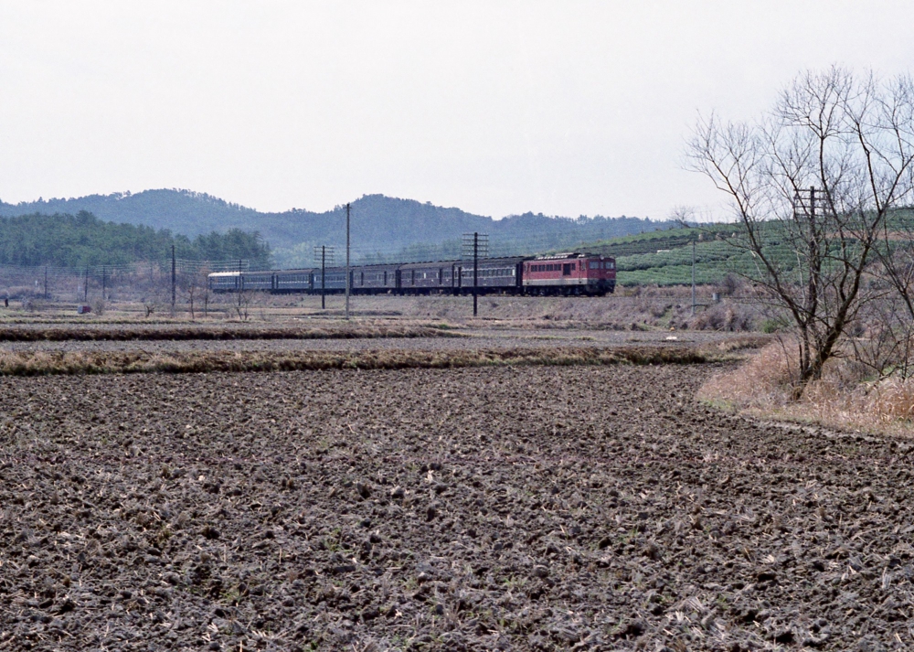 『天王寺発名古屋行夜行鈍行』 924列車 DF5053 紀勢本線徳和 1972.3.22