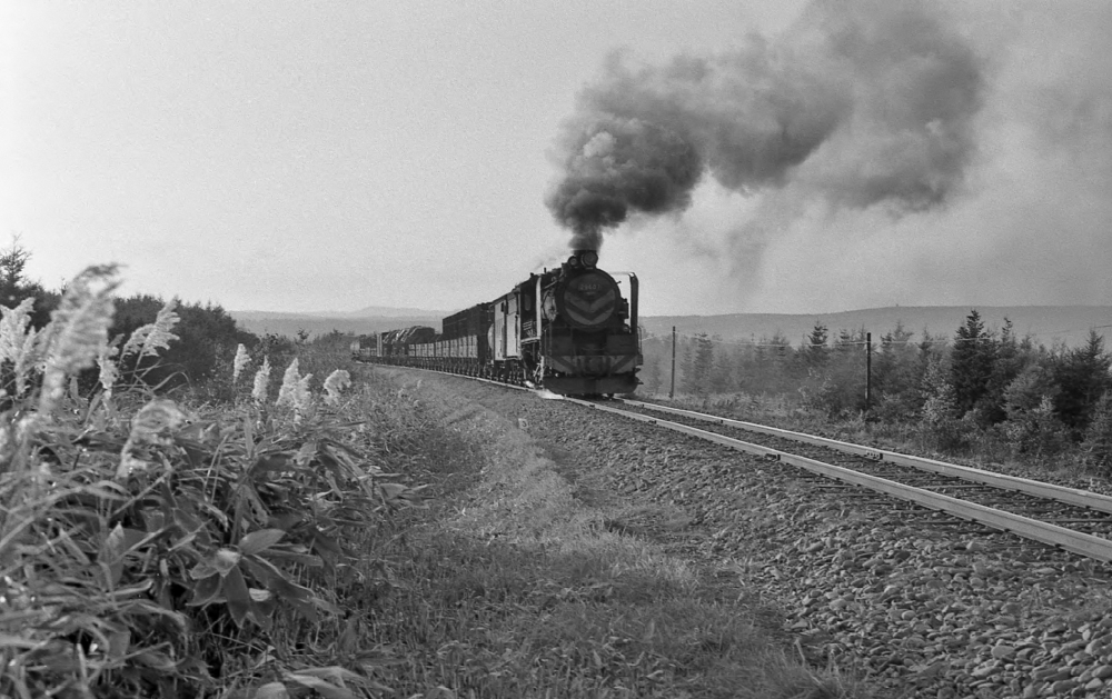 『最北の原野に煙流れて』 1792列車 29607 天北線鬼志別 1973.10.15