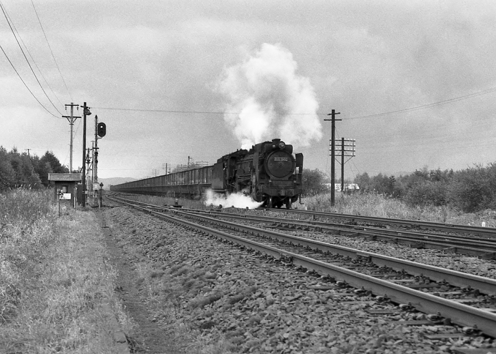 ギーゼルエジェクター機の牽く運炭列車 9281列車 D51842 室蘭本線安平 1973.10.17