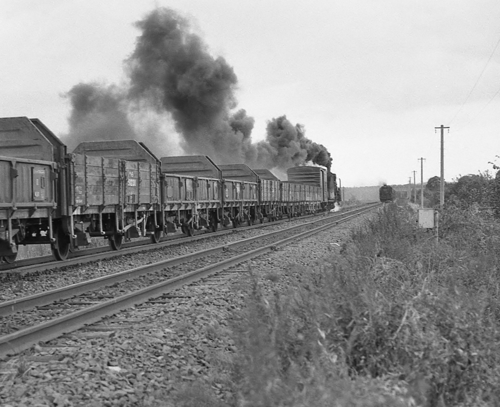 『室蘭本線を行き交う貨物列車』 4287,2454列車 D51765,D51414 安平 1973.10.17