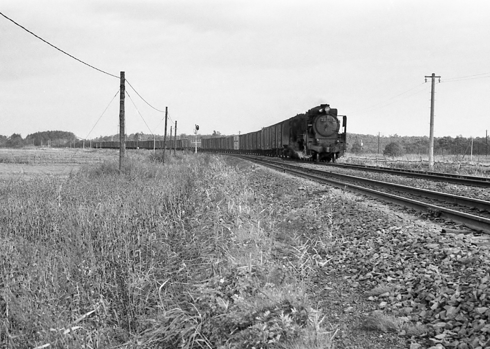 室蘭本線の長大編成貨物列車 D511120 安平 1973.10.17