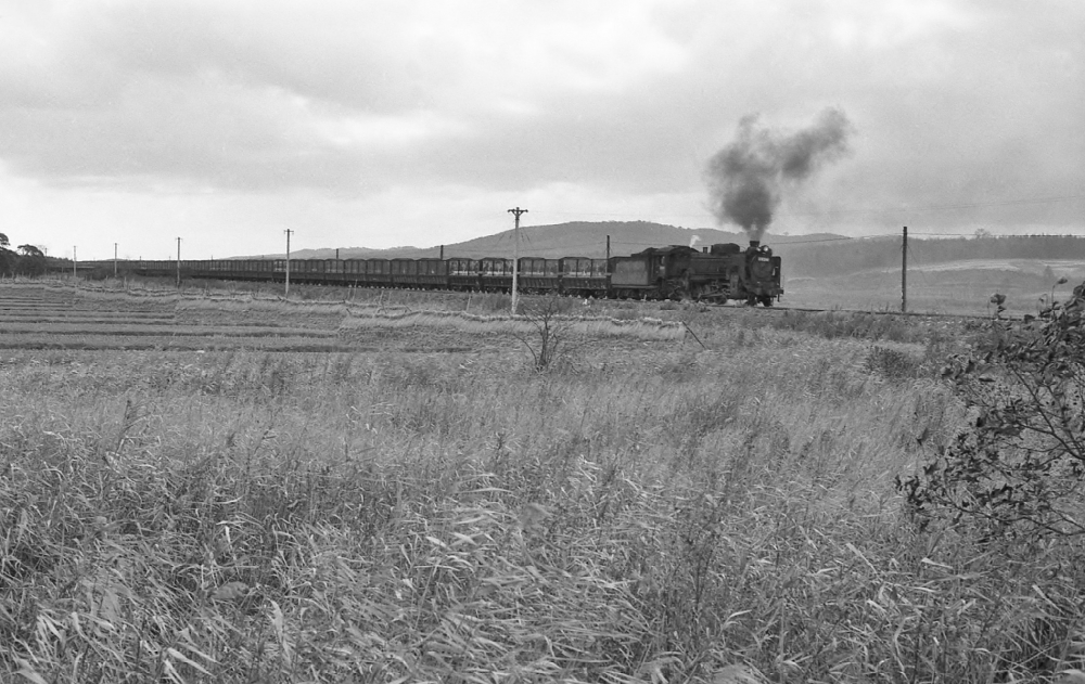 室蘭本線の長大セキ編成  1291列車 D51286 安平 1973.10.17