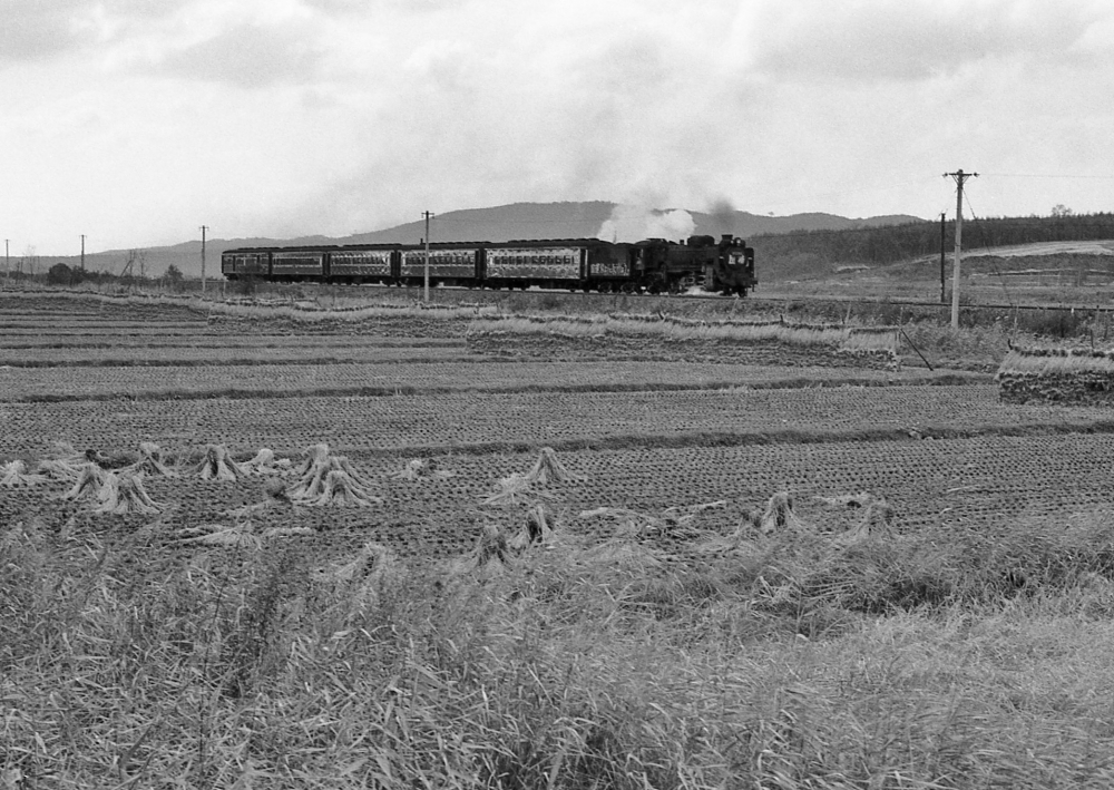 『団結の時代』 225列車 D51328 室蘭本線安平1973.10.17