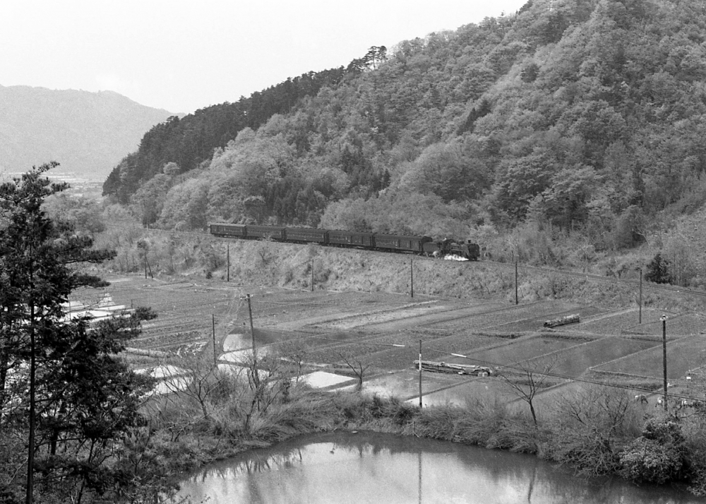 『田植えの頃』 921列車 C58223 小浜線美浜 1971.5.2