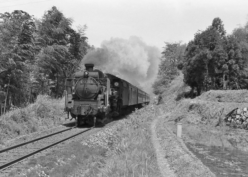 『風薫る里山の五月』 938列車 C58223 小浜線西敦賀 1971.5.3